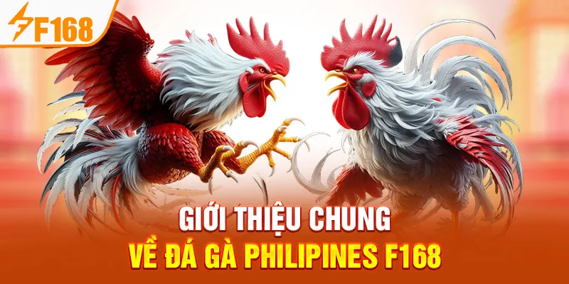 Giới Thiệu Chung Về Đá Gà Philipines F168