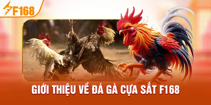 Giới Thiệu Về Đá Gà Cựa Sắt F168