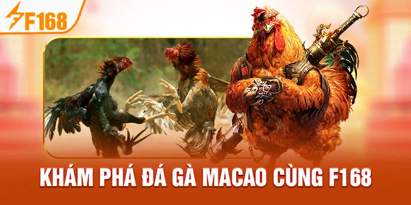 Khám Phá Đá Gà Macao Cùng F168