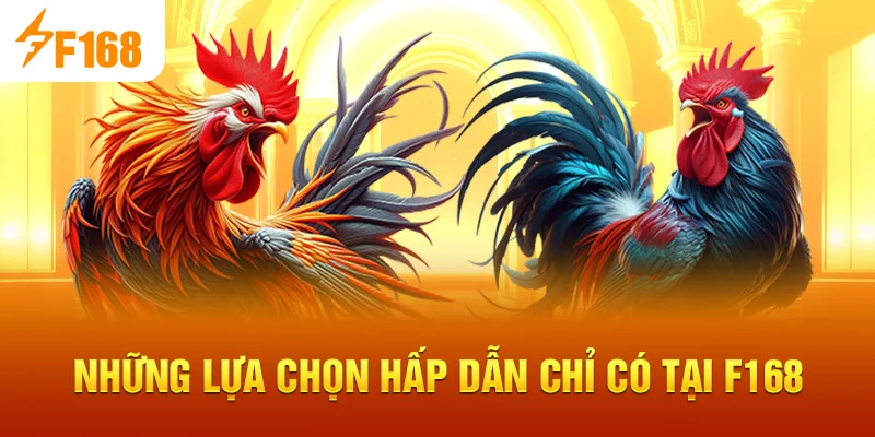 Những lựa chọn hấp dẫn chỉ có tại F168