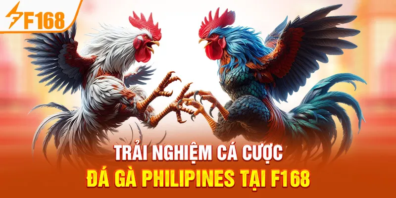 Trải Nghiệm Cá Cược Đá Gà Philipines Tại F168