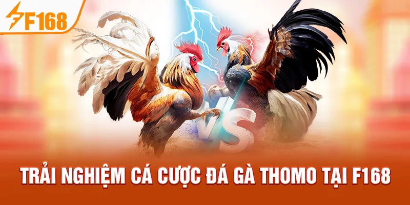 Trải Nghiệm Cá Cược Đá Gà Thomo Tại F168