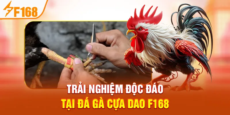 Trải Nghiệm Độc Đáo Tại Đá Gà Cựa Dao F168